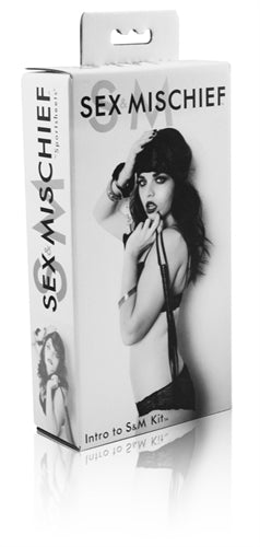 Sex & Mischief Intro to S&M Kit